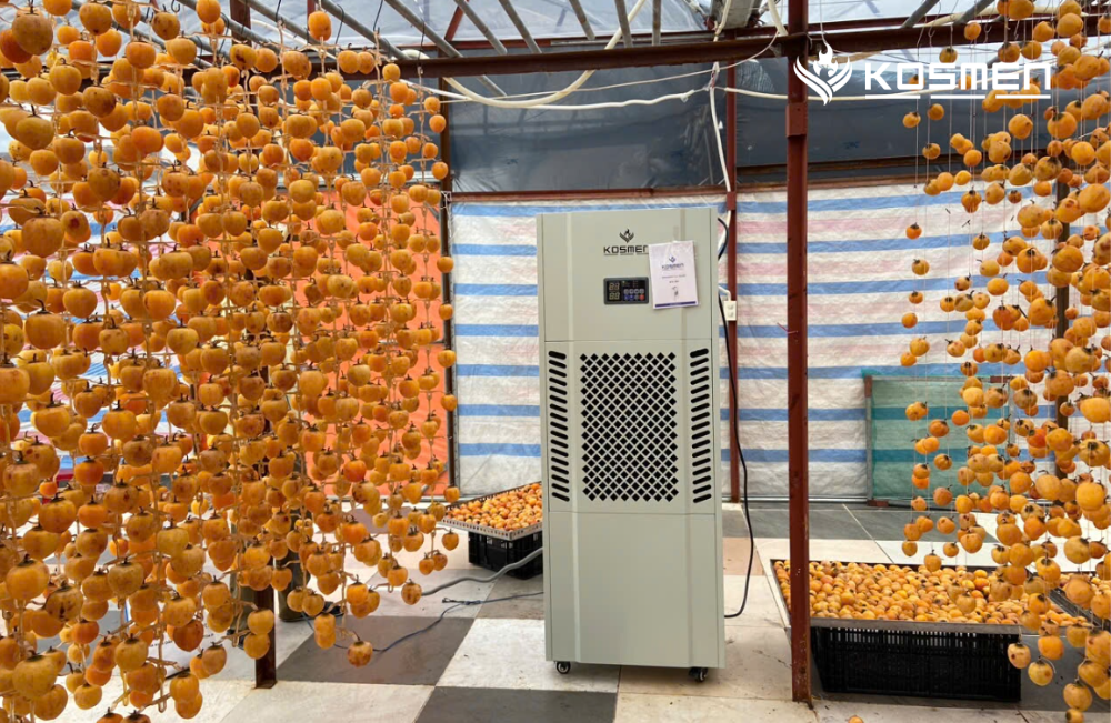 Lắp đặt máy hút ẩm sấy và bảo quản hồng treo gió tại Đà Lạt
